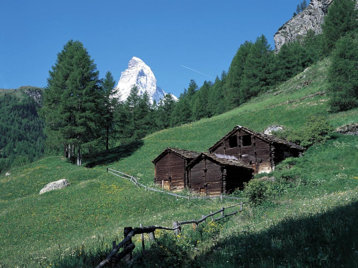 Apartment Sungold-1 Zermatt Bagian luar foto