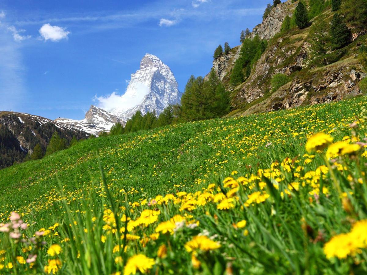 Apartment Sungold-1 Zermatt Bagian luar foto